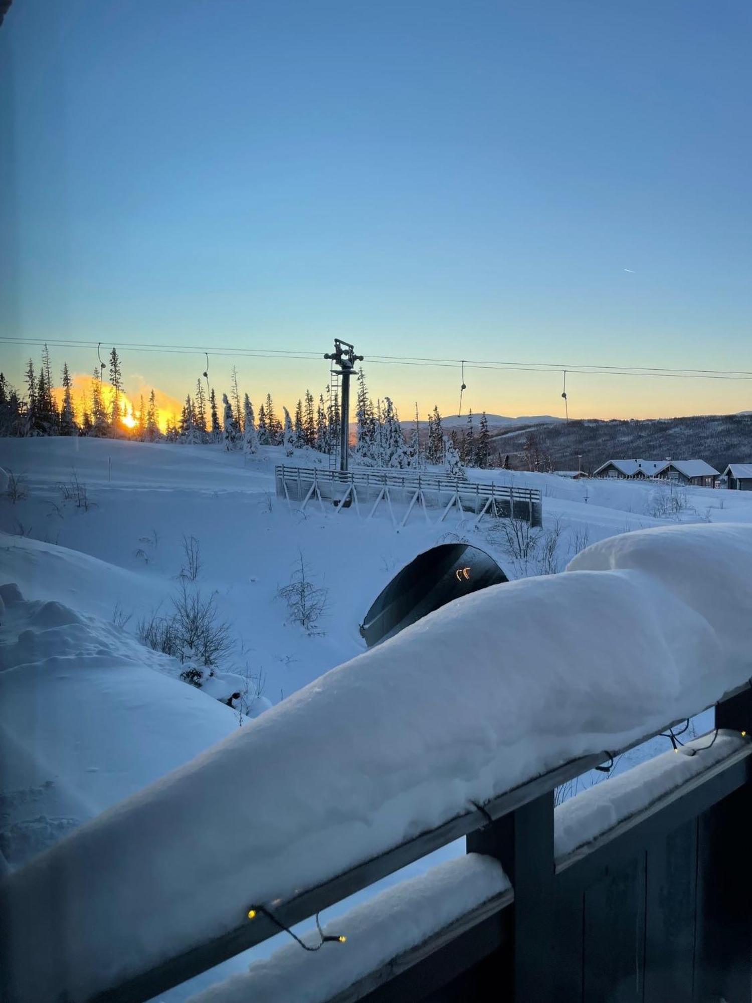 Arebjornen - Sadelen Villa Exteriör bild